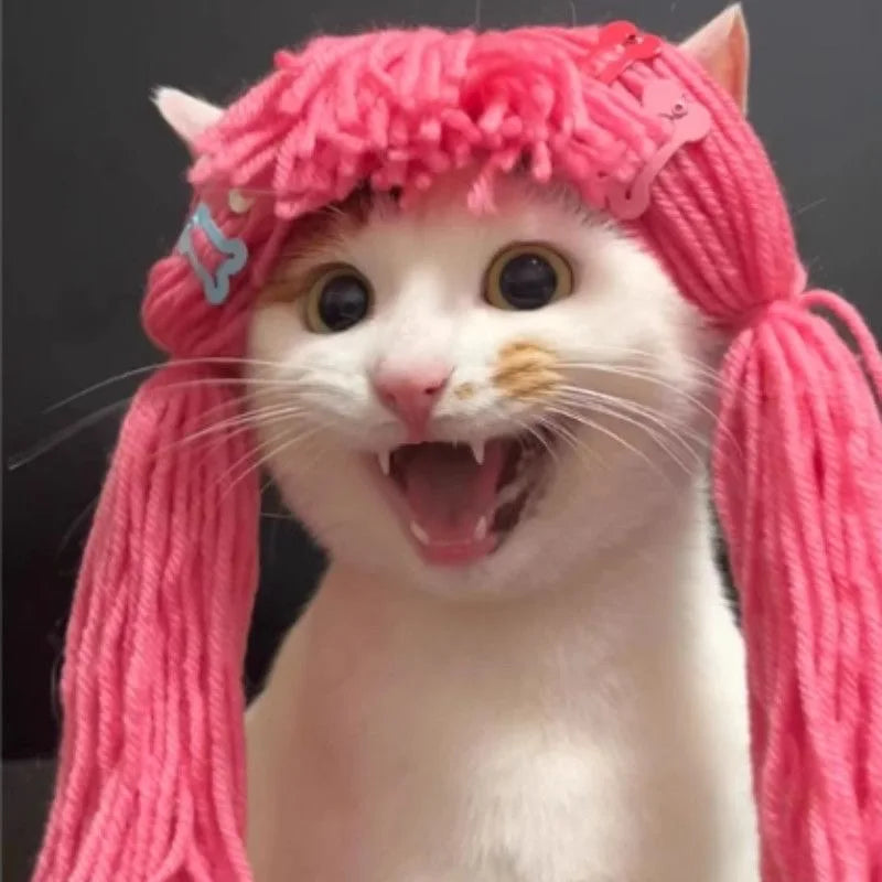 Cat Wigs Soft Braid Cute Headwear Costume Hair Cat Wig Dog Toys For All Breeds Puppy Kitten Home Photoshoot Role-Play Christmas