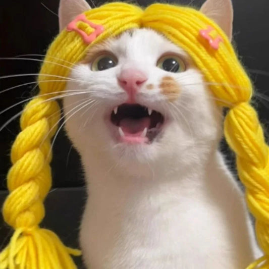 Cat Wigs Soft Braid Cute Headwear Costume Hair Cat Wig Dog Toys For All Breeds Puppy Kitten Home Photoshoot Role-Play Christmas